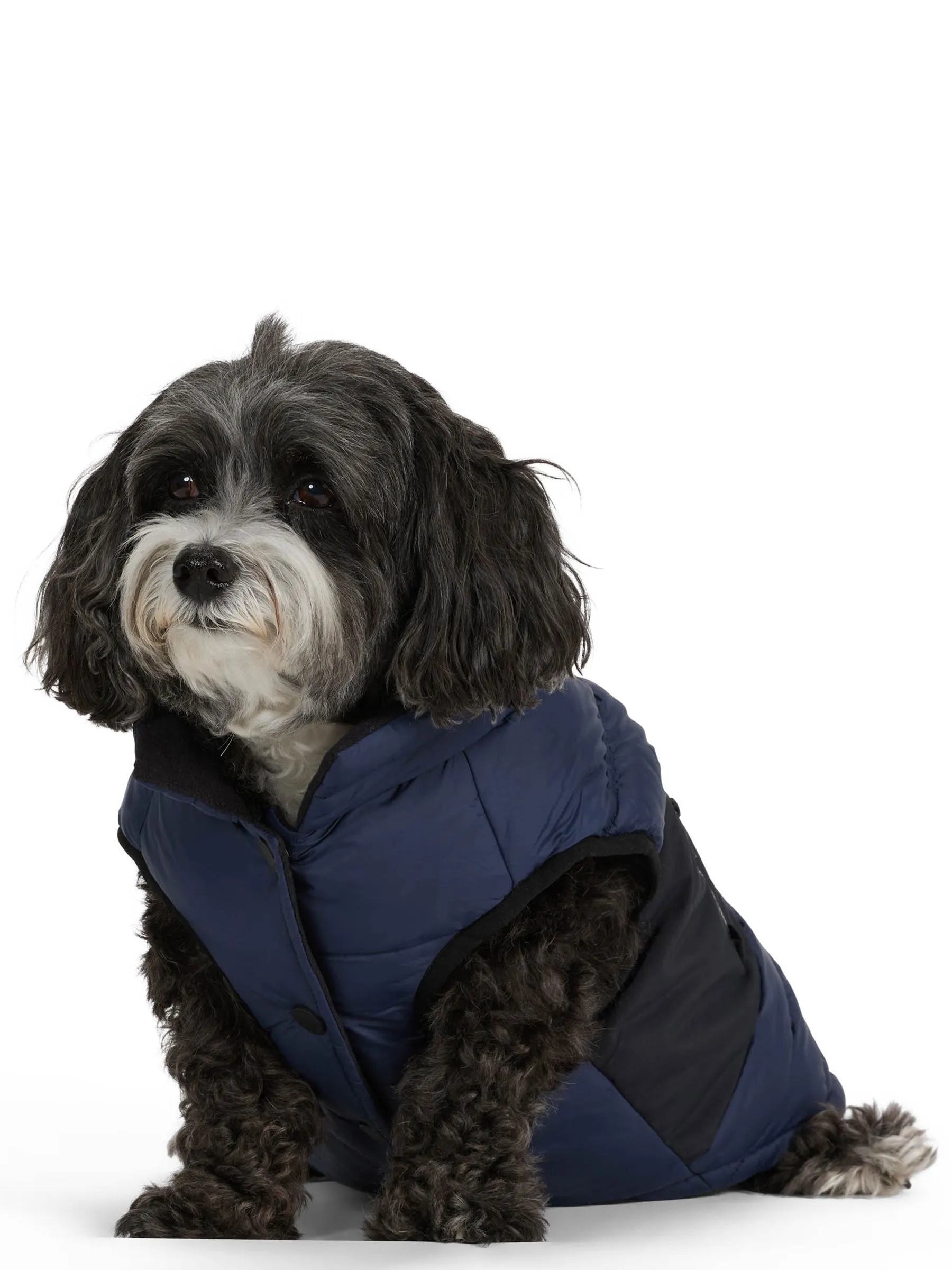 Beau Jacket w/Leash Attachment for Dogs