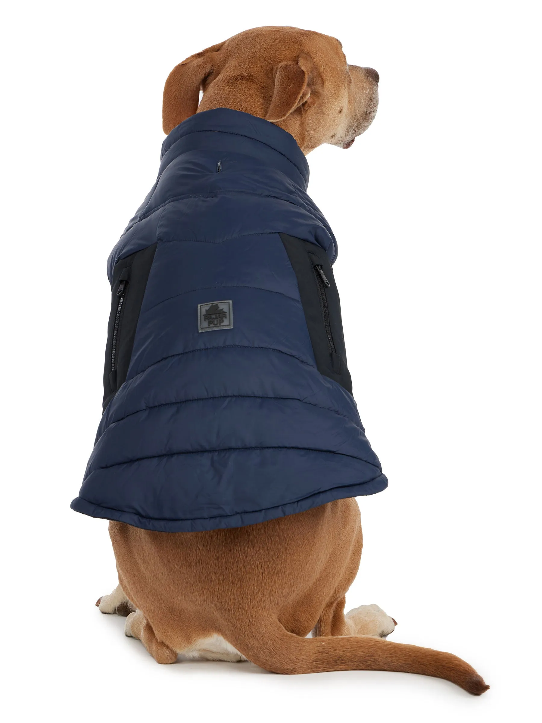 Beau Jacket w/Leash Attachment for Dogs