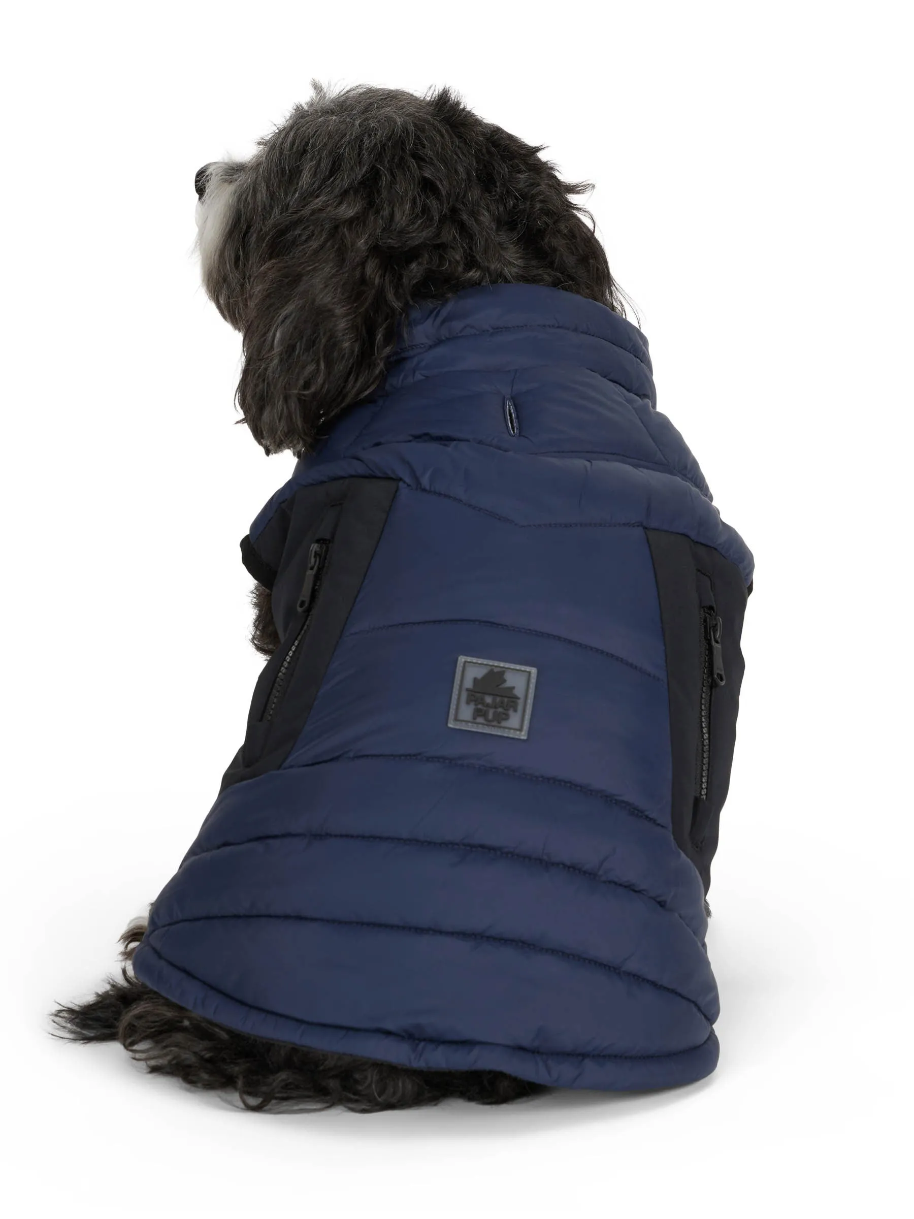 Beau Jacket w/Leash Attachment for Dogs