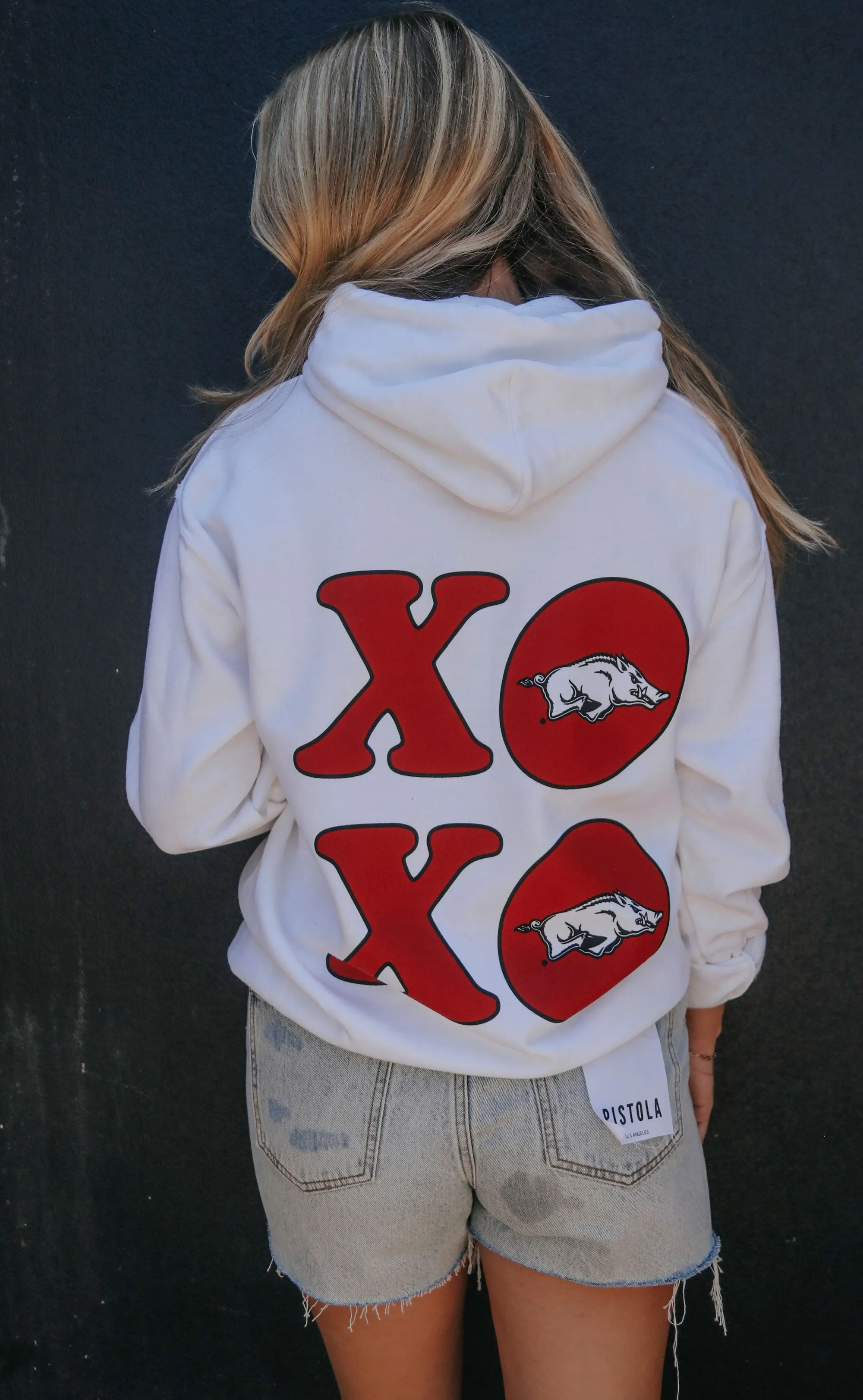 charlie southern: hogs and kisses hoodie