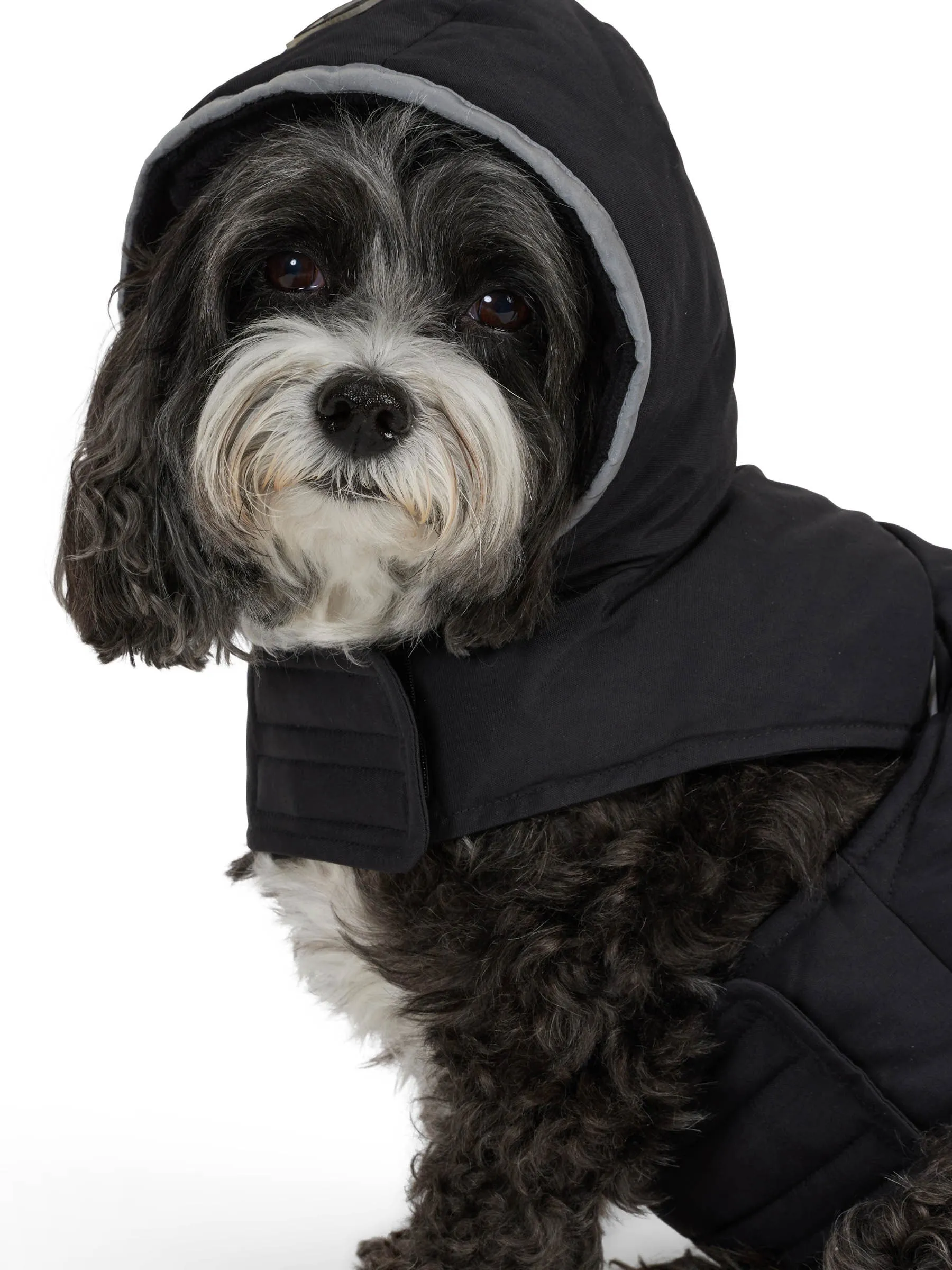 Denver Easy Fit Jacket for Dogs